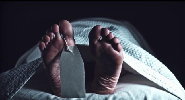 වන අලි පහරදීමකින් පුද්ගලයෙකු මරුට..
